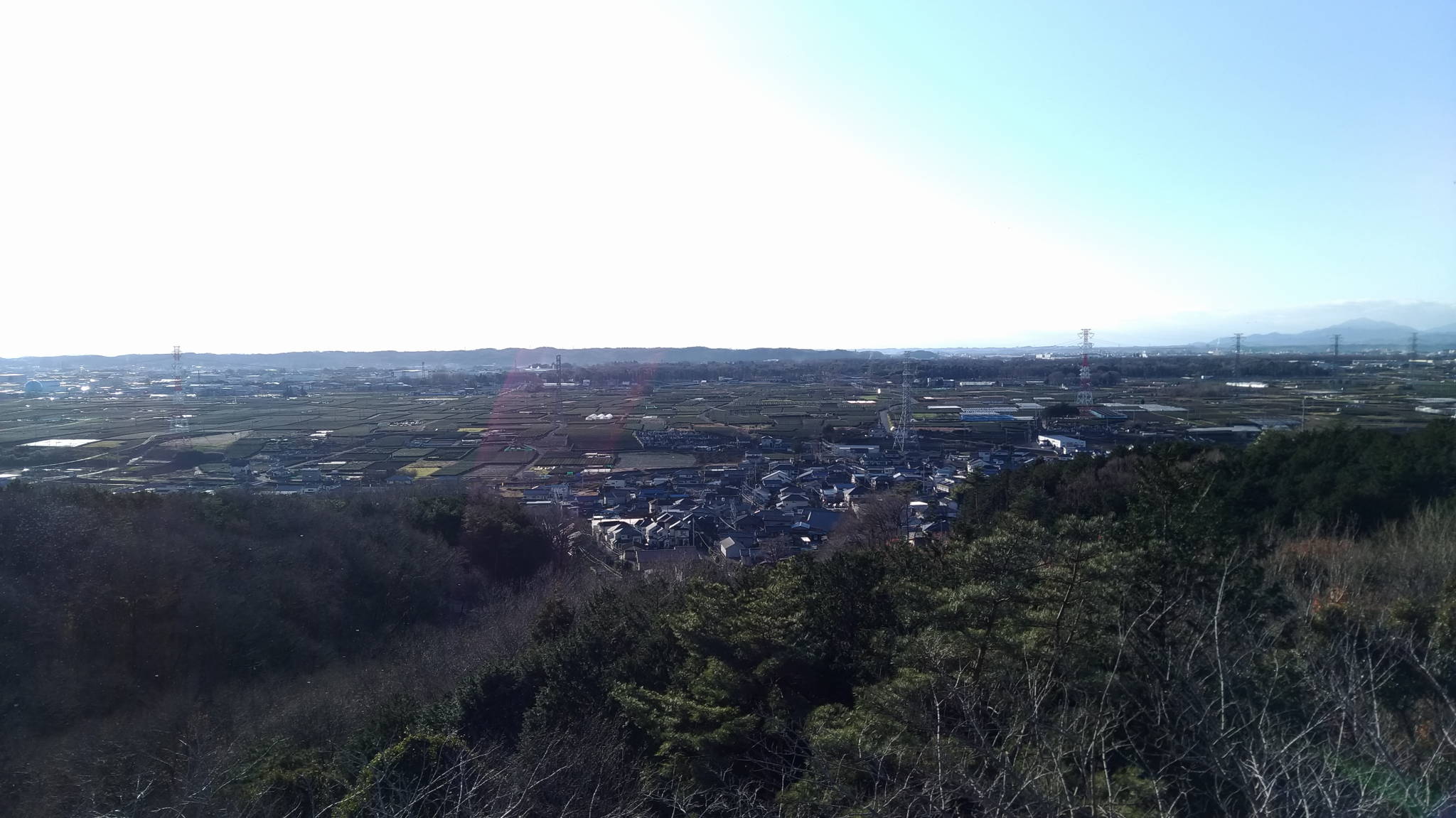 狭山茶でちょっと一休み